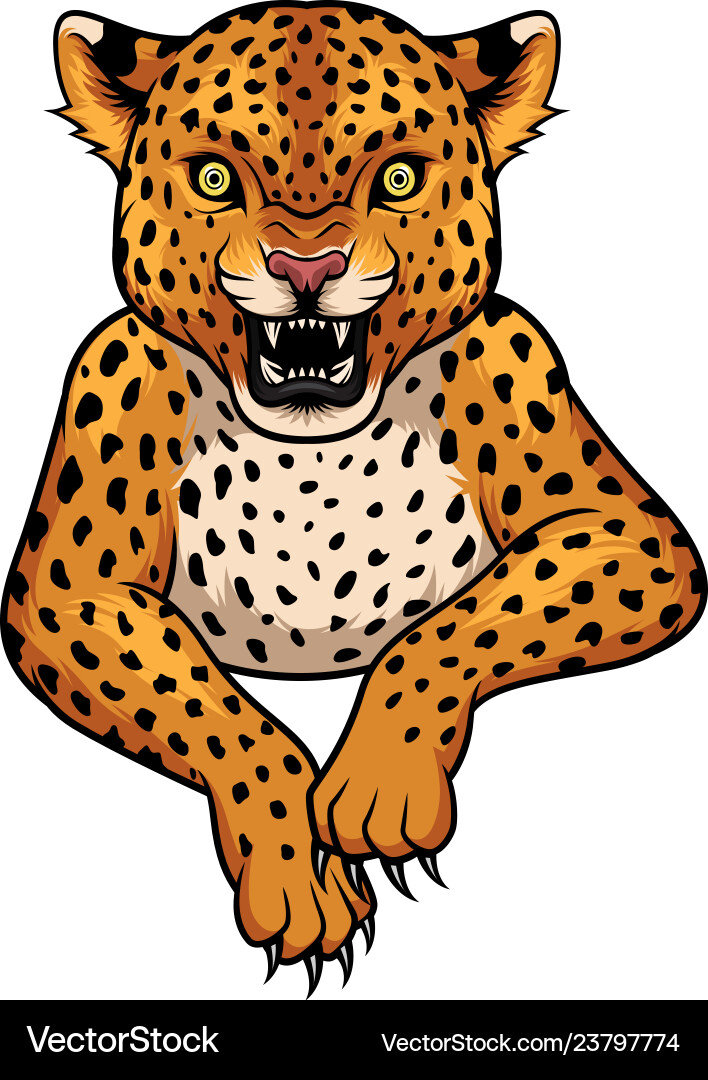 Cartoon leopard mascot Cartoon leopard mascot vector image