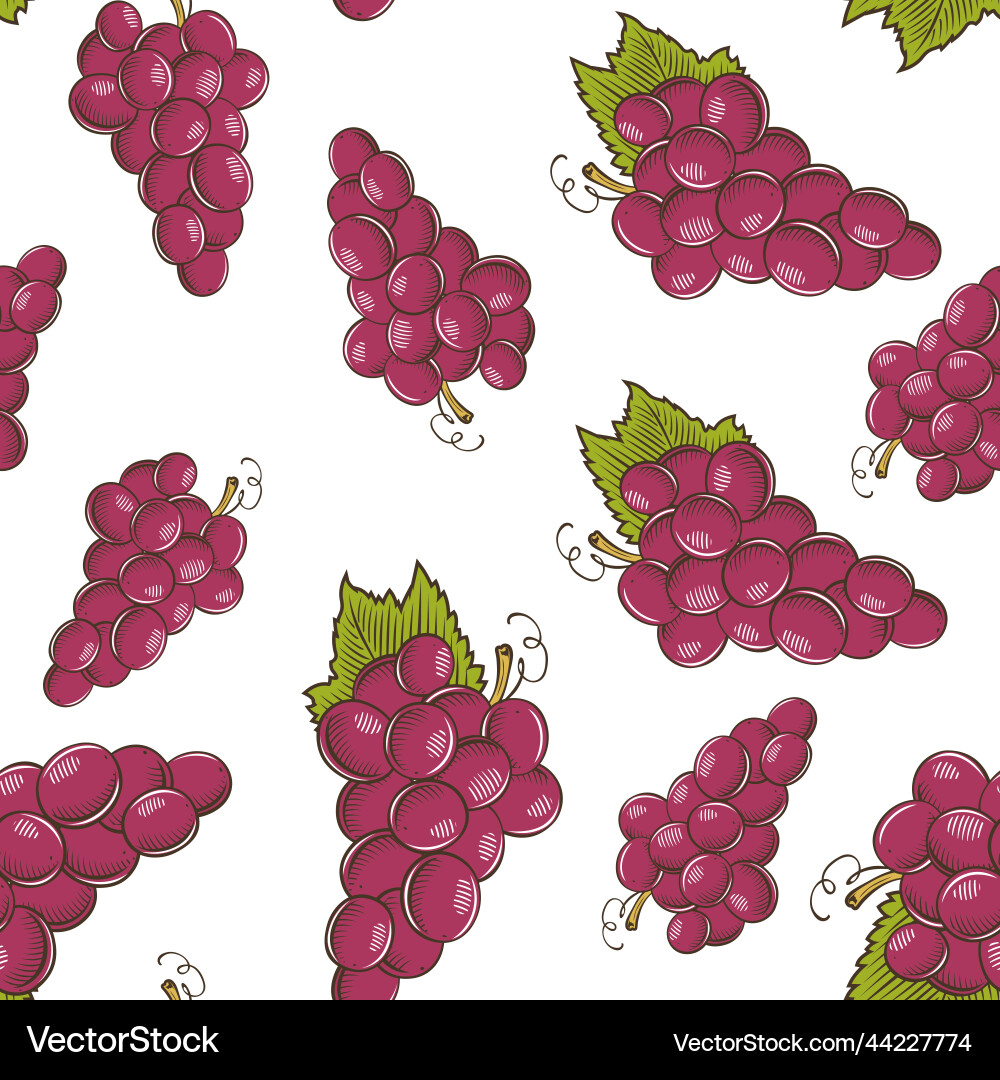 Red Grapes Seamless Pattern vector image