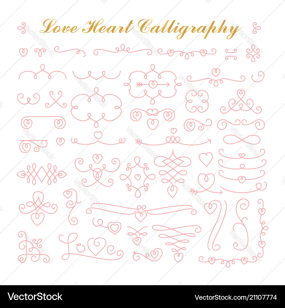 Romantic Calligraphic Hearts & Flourishes vector image