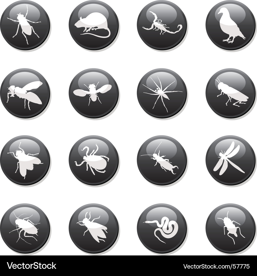Insect and Pest Buttons Collection Vector Image
