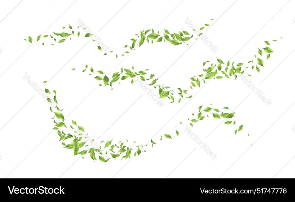 Green leaf background Royalty Free Vector Image