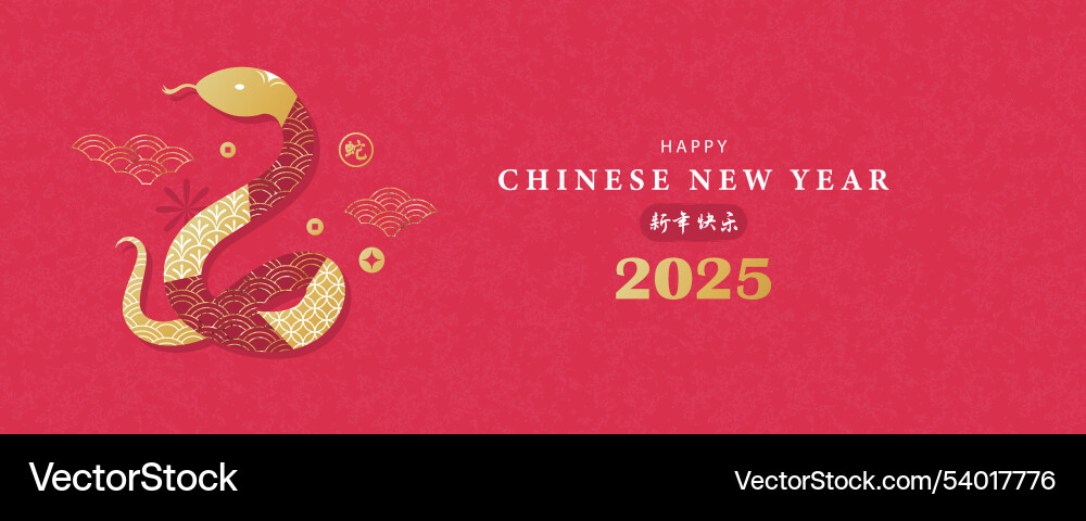 Happy chinese new year 2025 of the snake Happy chinese new year 2025 of the snake vector image