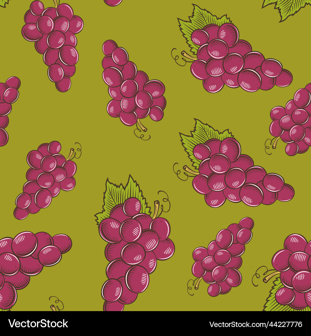 Seamless pattern with red grapes on a green Seamless pattern with red grapes on a green vector image