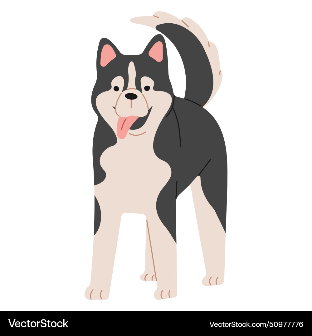 Siberian husky 1 Vector Image
