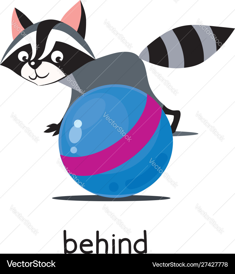 Preposition place raccoon behind ball Preposition place raccoon behind ball vector image