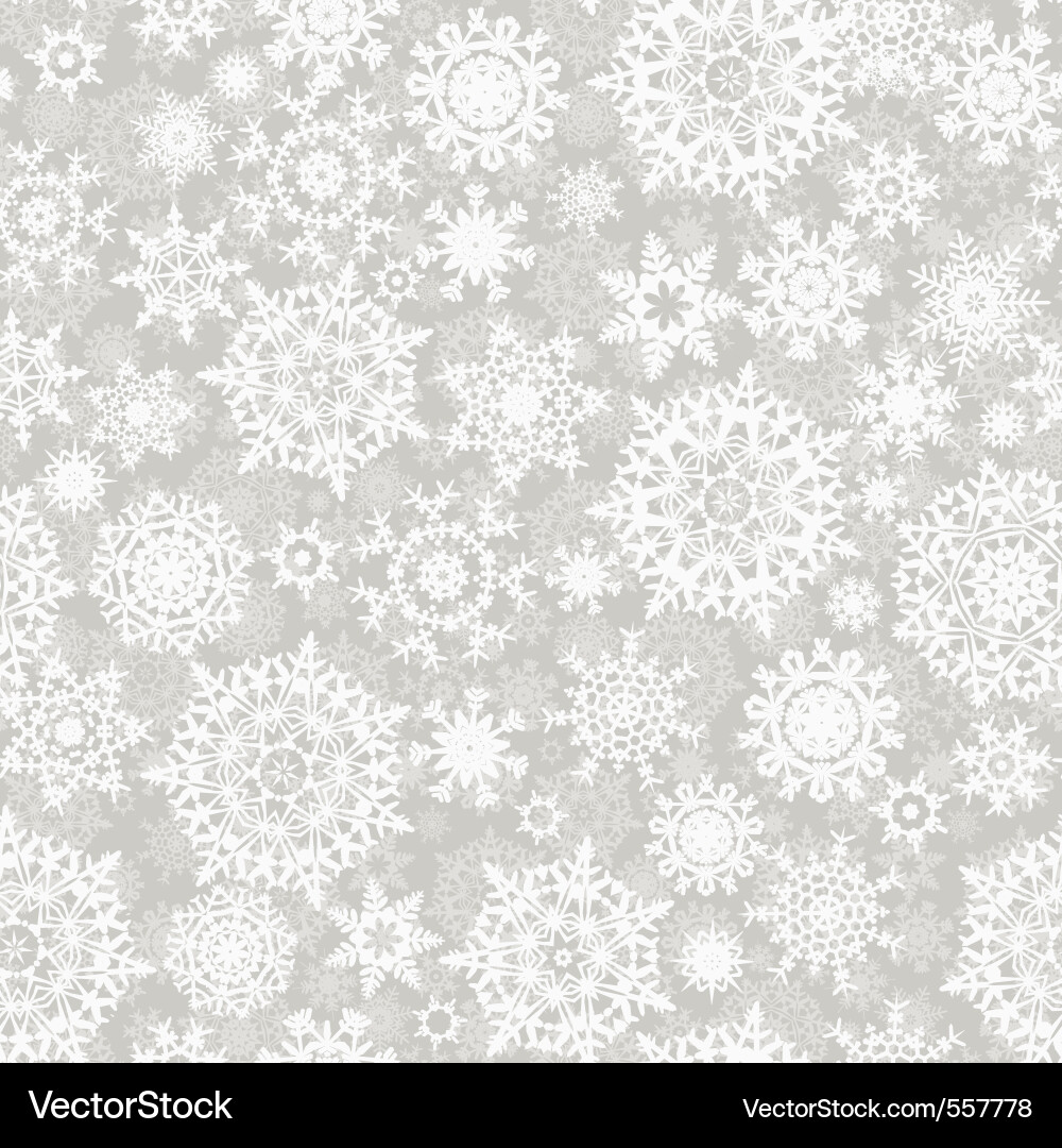 Winter Snowflake Pattern Vector Image