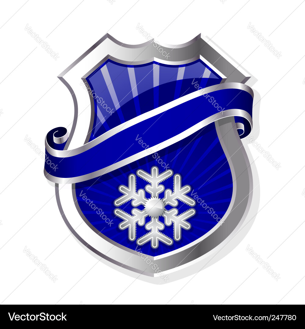 Frame with snowflake Vector Image