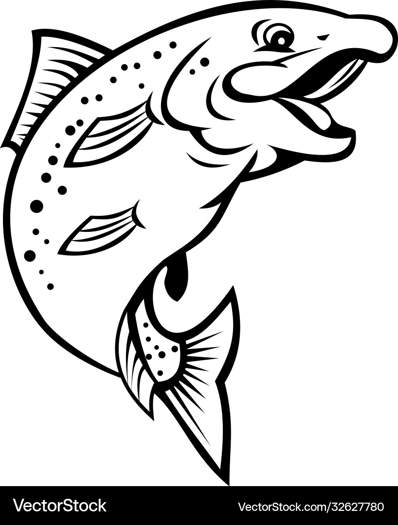 Jumping Rainbow Trout Sketch Vector Image