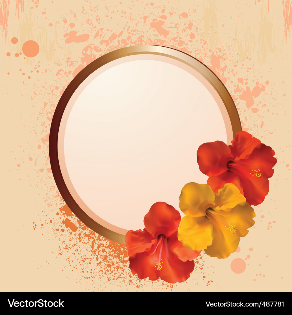 Hibiscus Flower Border - Grunge Style Vector Image