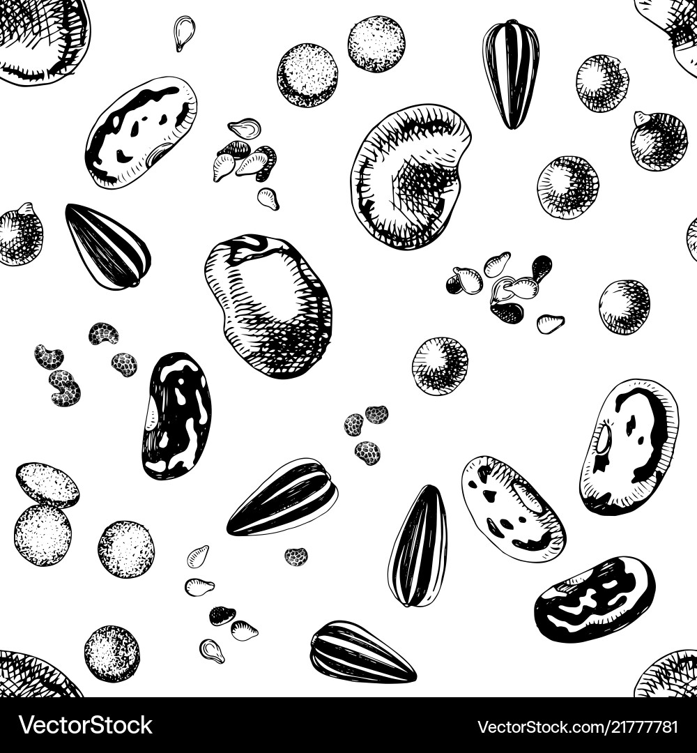 Retro Seed and Bean Pattern vector image