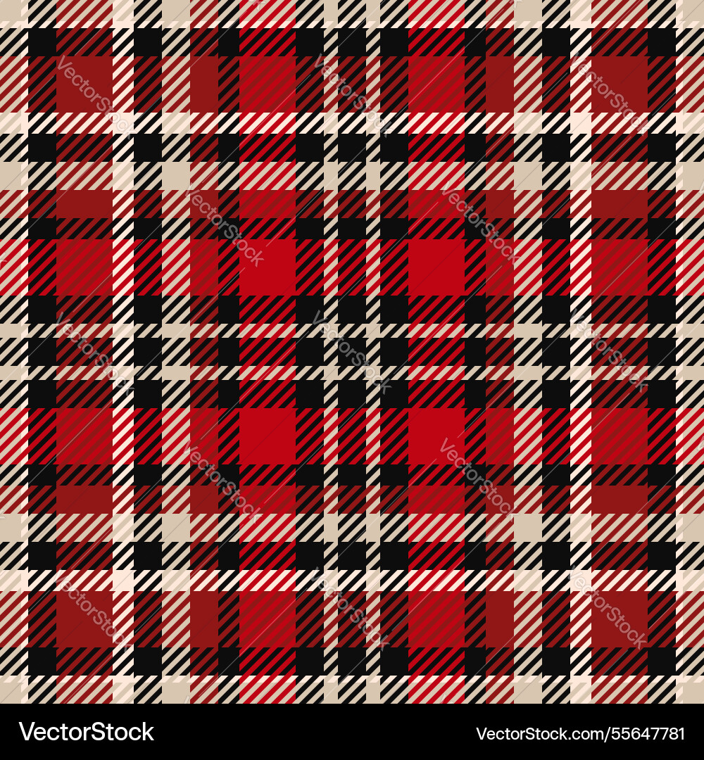 Single fabric seamless front pattern check Vector Image