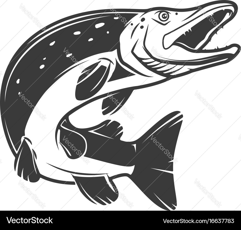 Pike Fish Icon - Predator Vector Image
