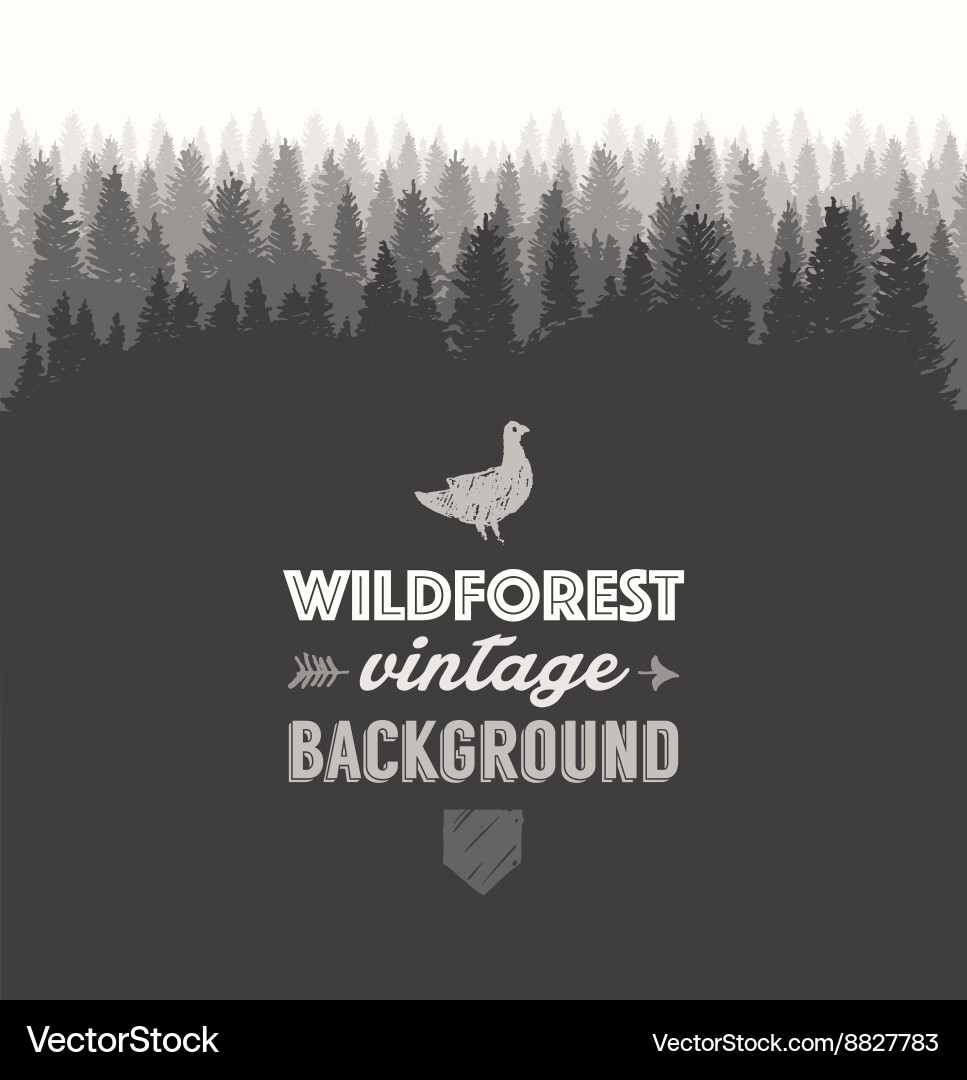 Pine Forest Landscape Vector Image
