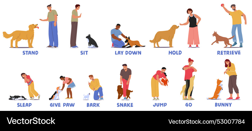 Dog training commands being demonstrated Dog training commands being demonstrated vector image