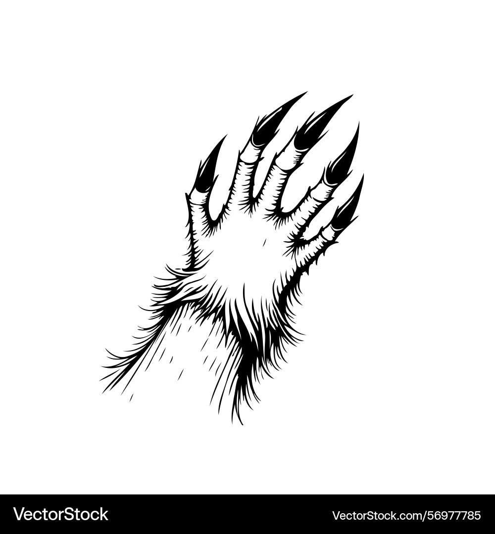Menacing creature claw displaying sharp talons Menacing creature claw displaying sharp talons Vector Image