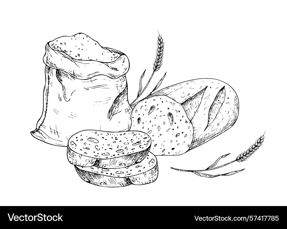 Sliced bread and wheat in a rustic canvas Vector Image