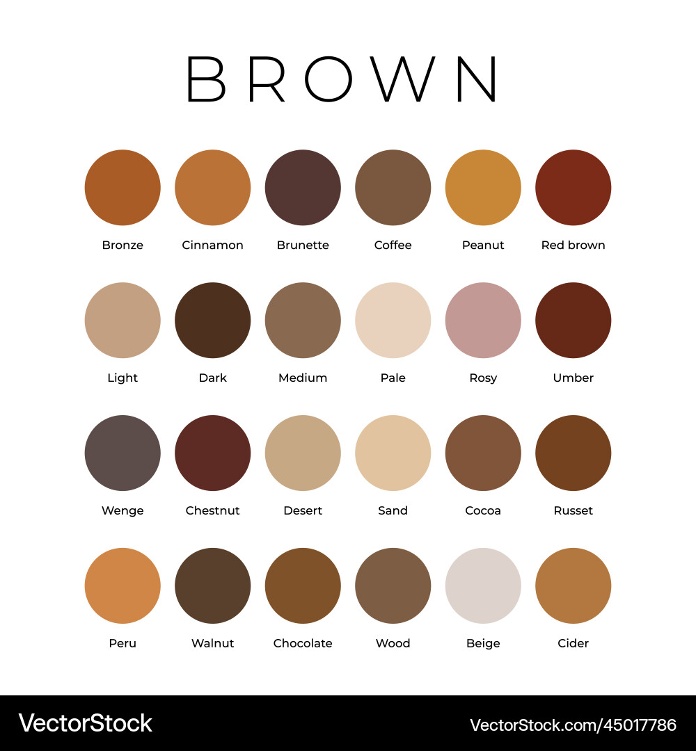 Brown Color Swatches Palette Vector Image