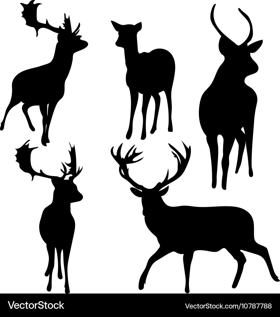 Deer Silhouettes - Stag, Roe, and Buck Collection Vector Image