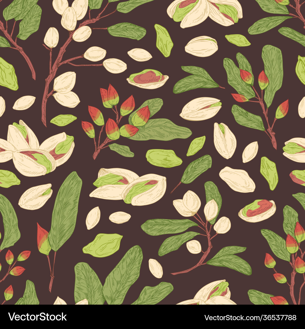 Pistachio Nut Seamless Pattern Royalty Free Vector Image