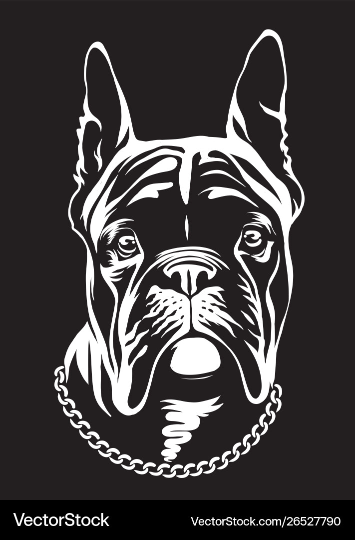 Black French Bulldog Portrait vector image