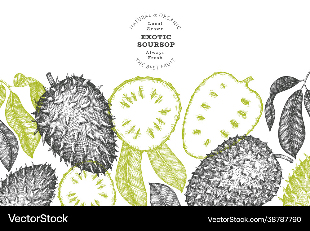 Hand drawn sketch style soursop fruit banner vector image