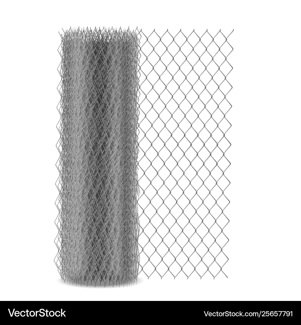 Chain link mesh fencing rabitz in roll – Royalty-Free Vector | VectorStock