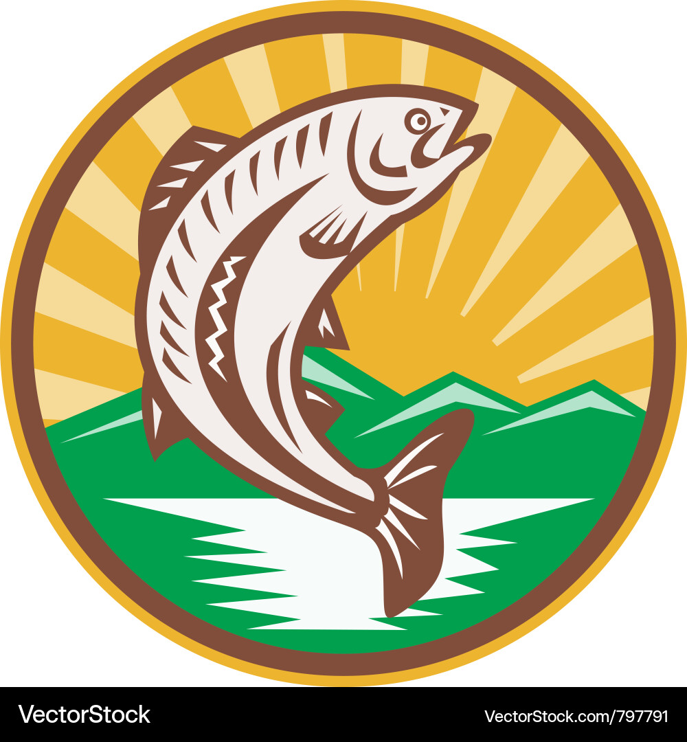 Jumping Trout vector image