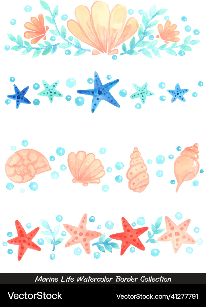 Seashell and starfish with bubble border vector image