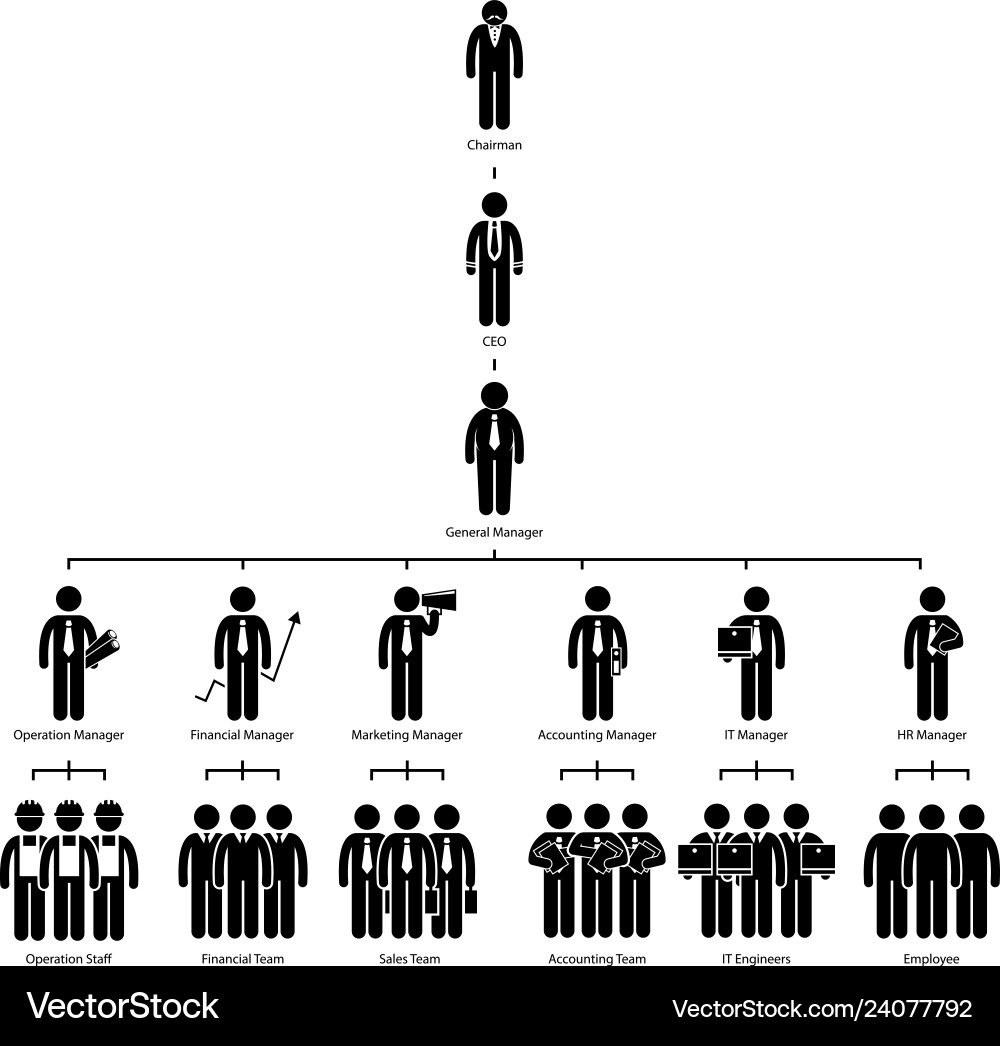 Organization chart tree company corporate Vector Image