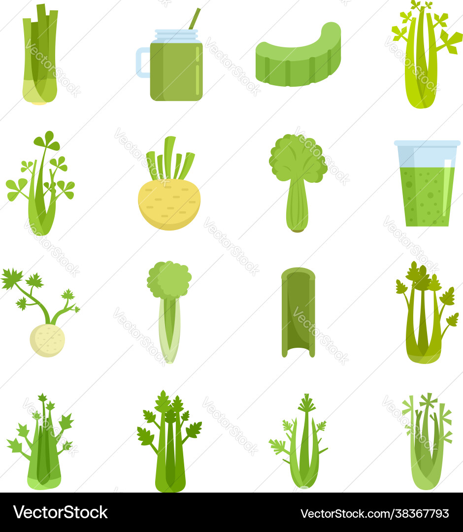 Celery icons set flat isolated Celery icons set flat isolated vector image