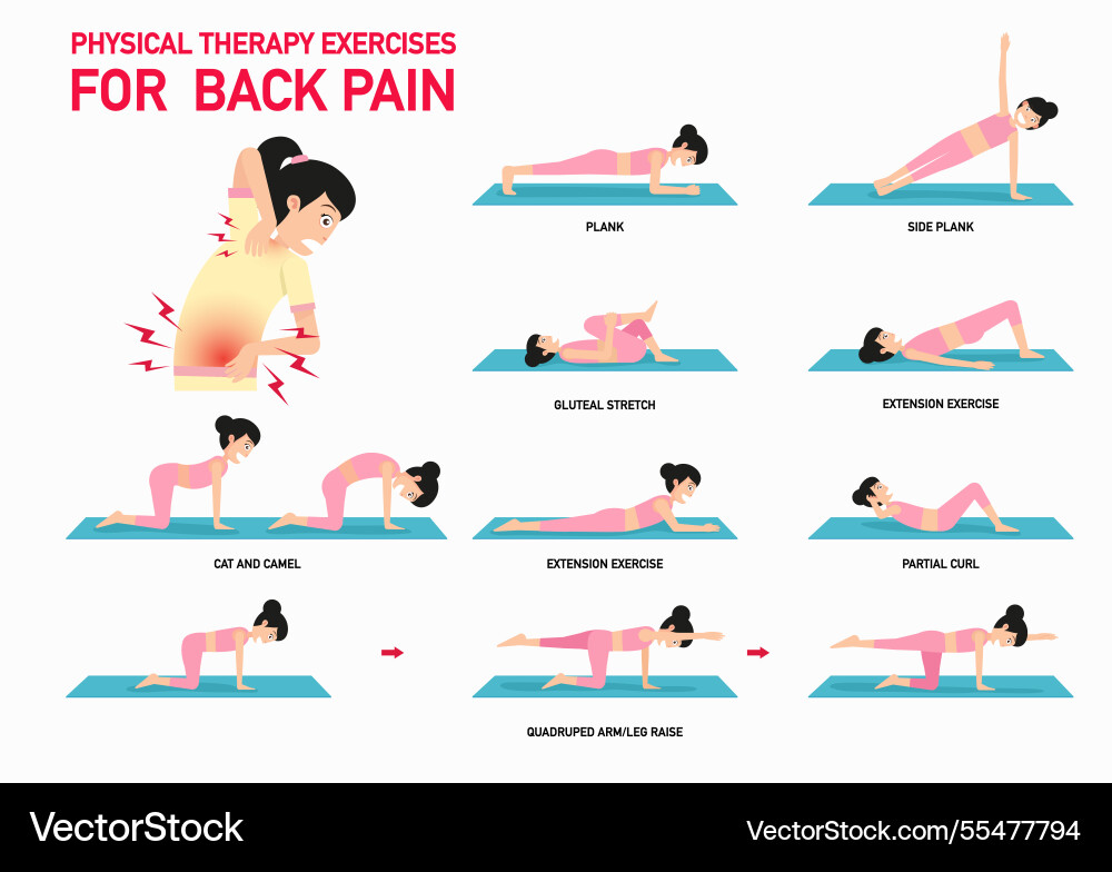 Physical therapy exercises for back pain Physical therapy exercises for back pain vector image