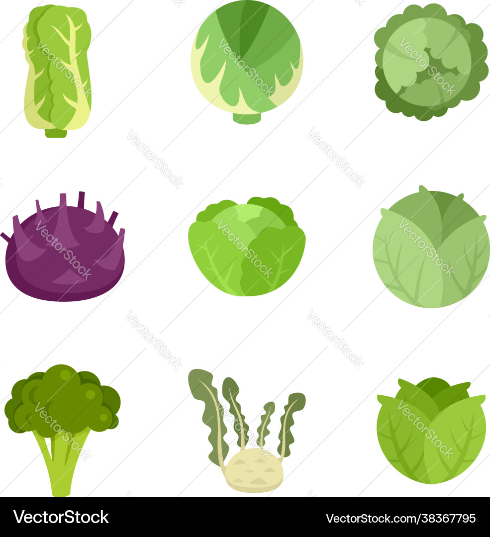 Cabbage icons set flat isolated Vector Image