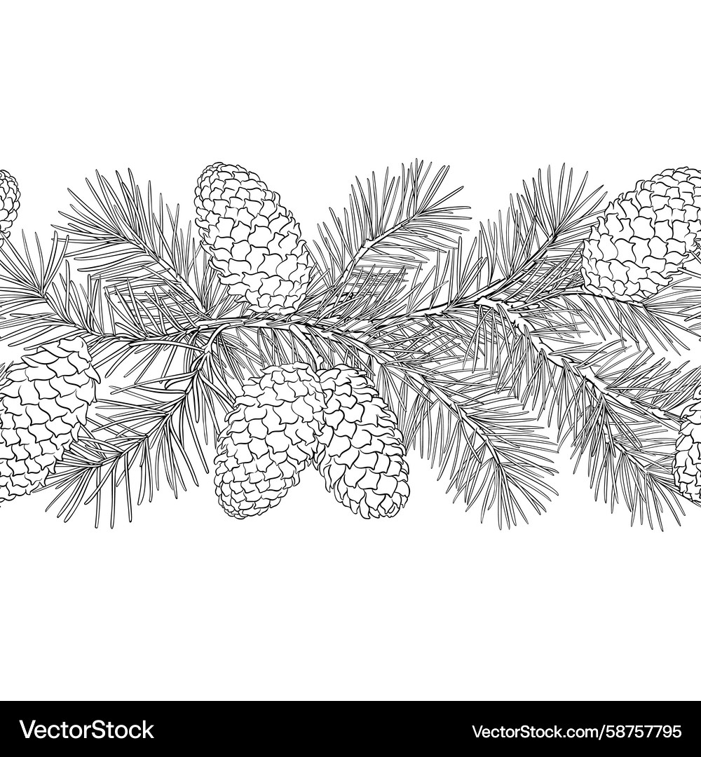 Fir Tree Branch with Cones - Outline Pattern Vector Image