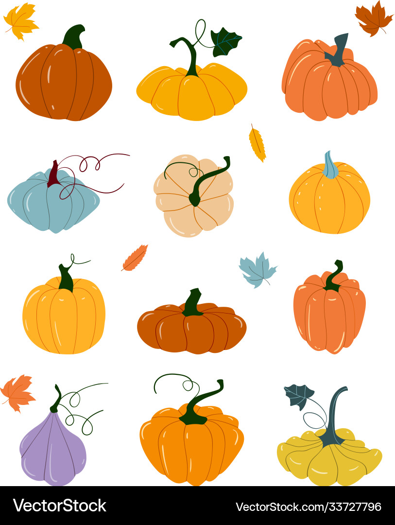 Autumn Pumpkins Fall Leaves Royalty Free Vector Image