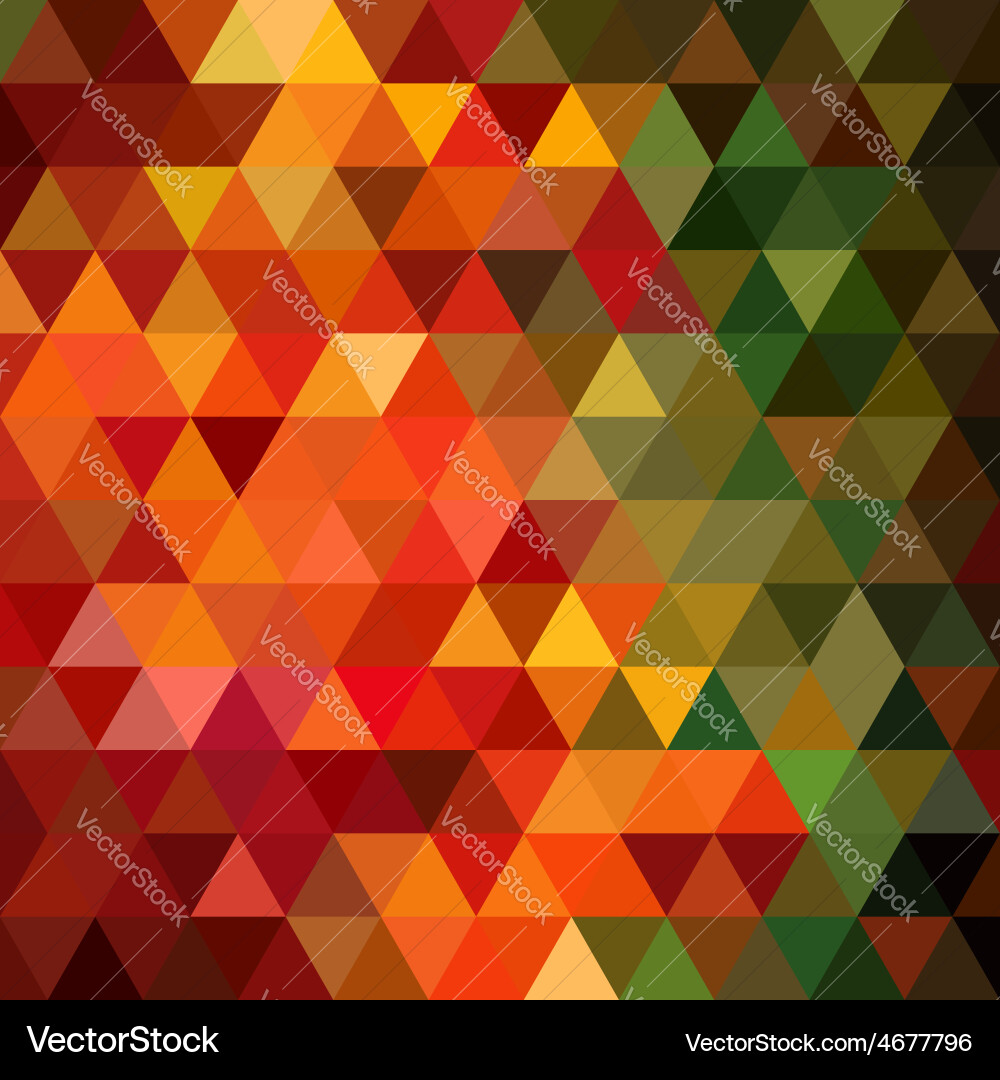 Geometric Triangle Pattern vector image