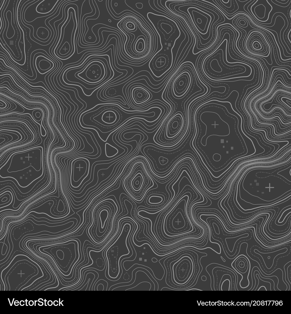 Topographic Map Pattern vector image