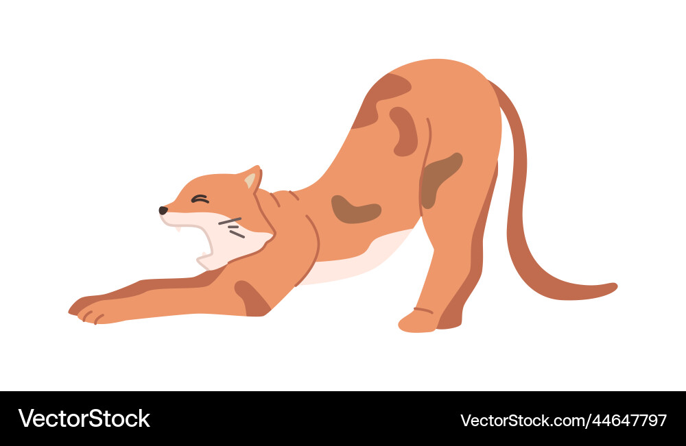 Kitten stretching cat profile Kitten stretching cat profile vector image
