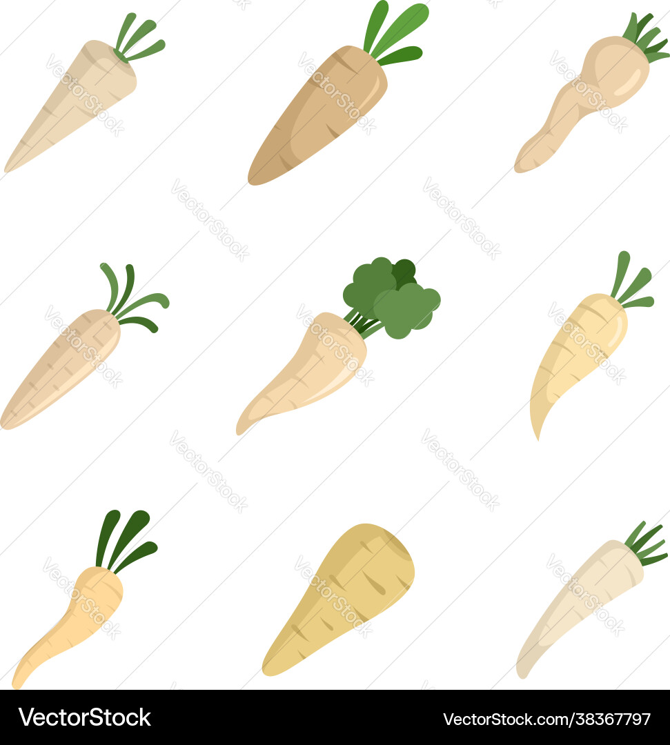 Parsnip Icon Set - Flat Style vector image