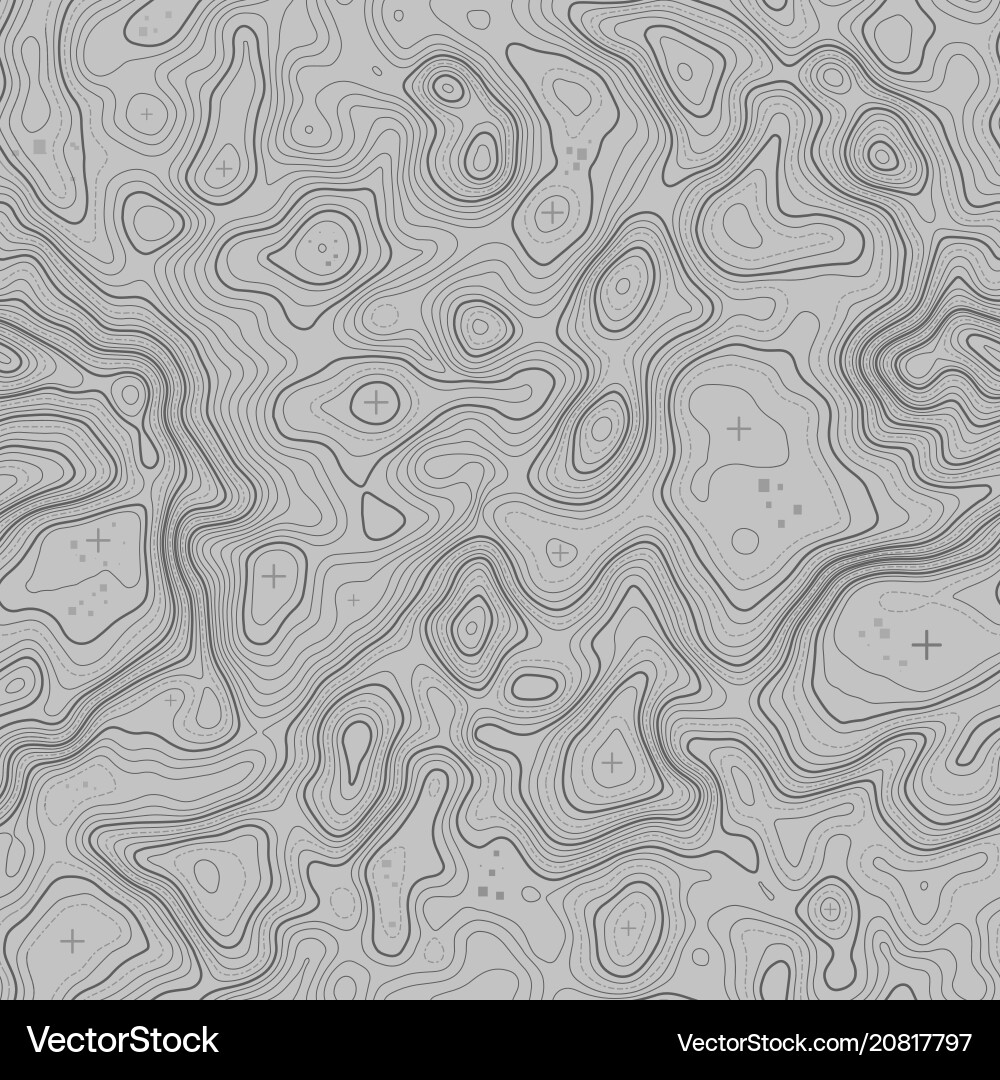 Topographic Map Seamless Pattern Vector Image