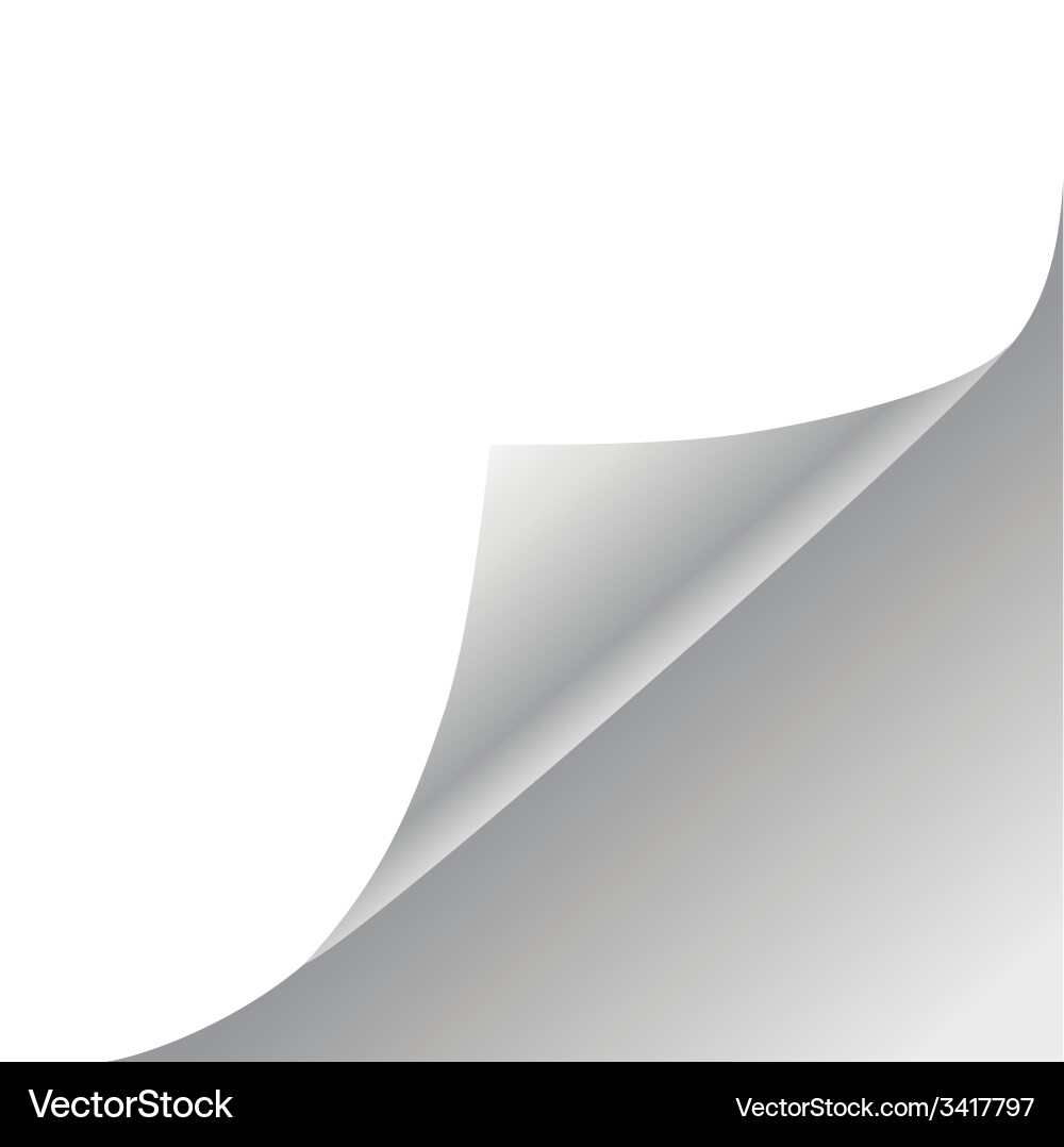White paper background Royalty Free Vector Image