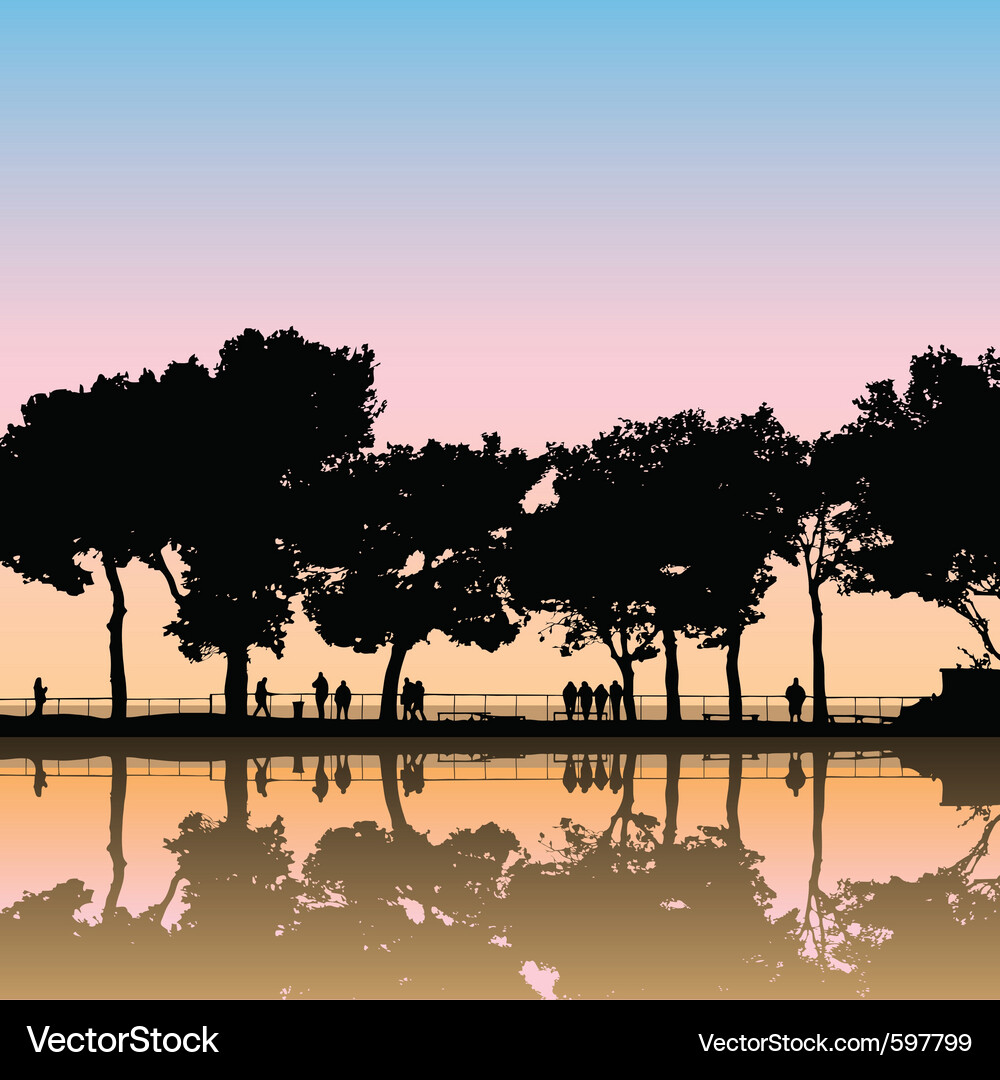 Dark Tree Silhouettes at Dusk Vector Image