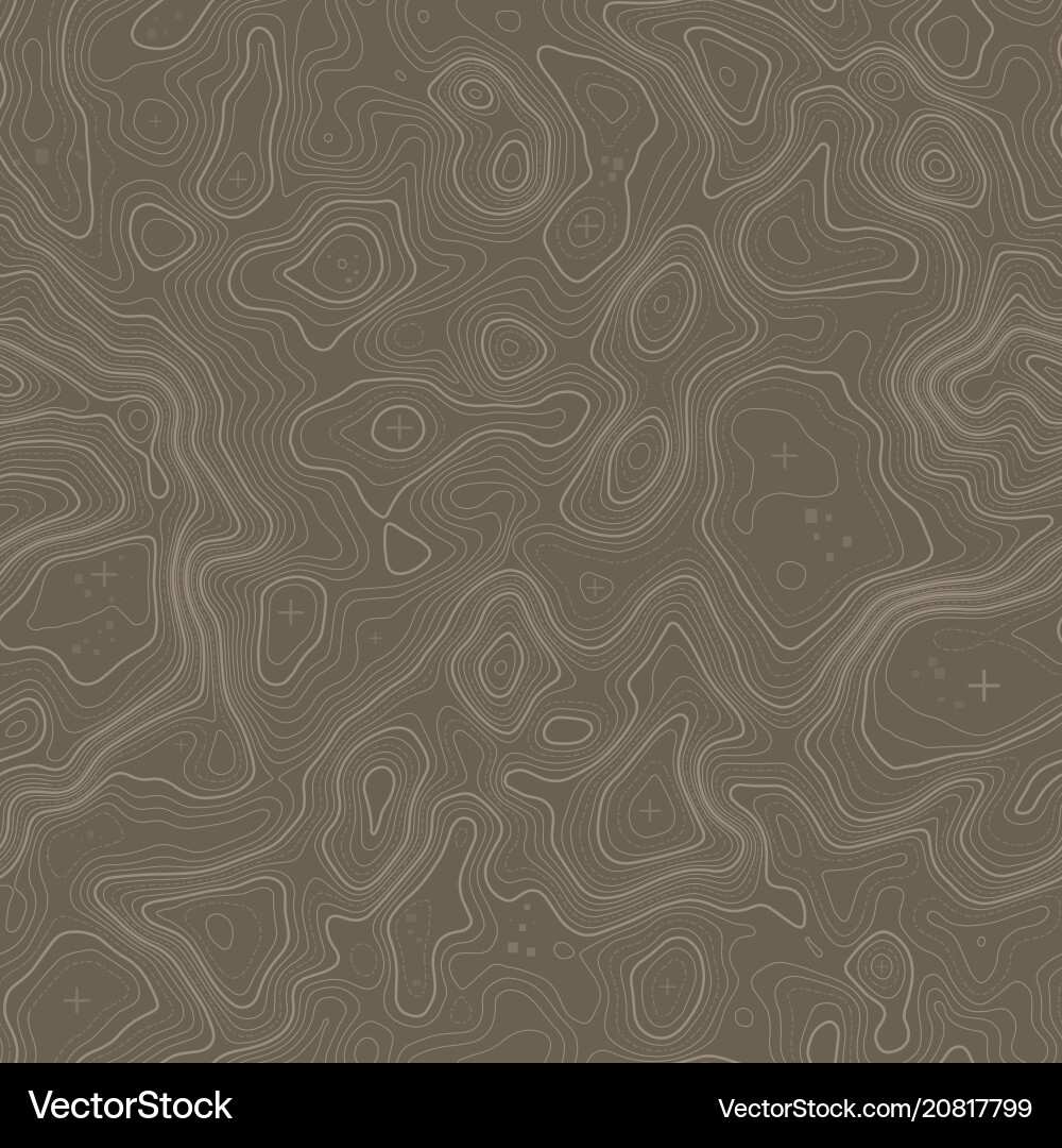 Seamless pattern topographic map background Seamless pattern topographic map background vector image