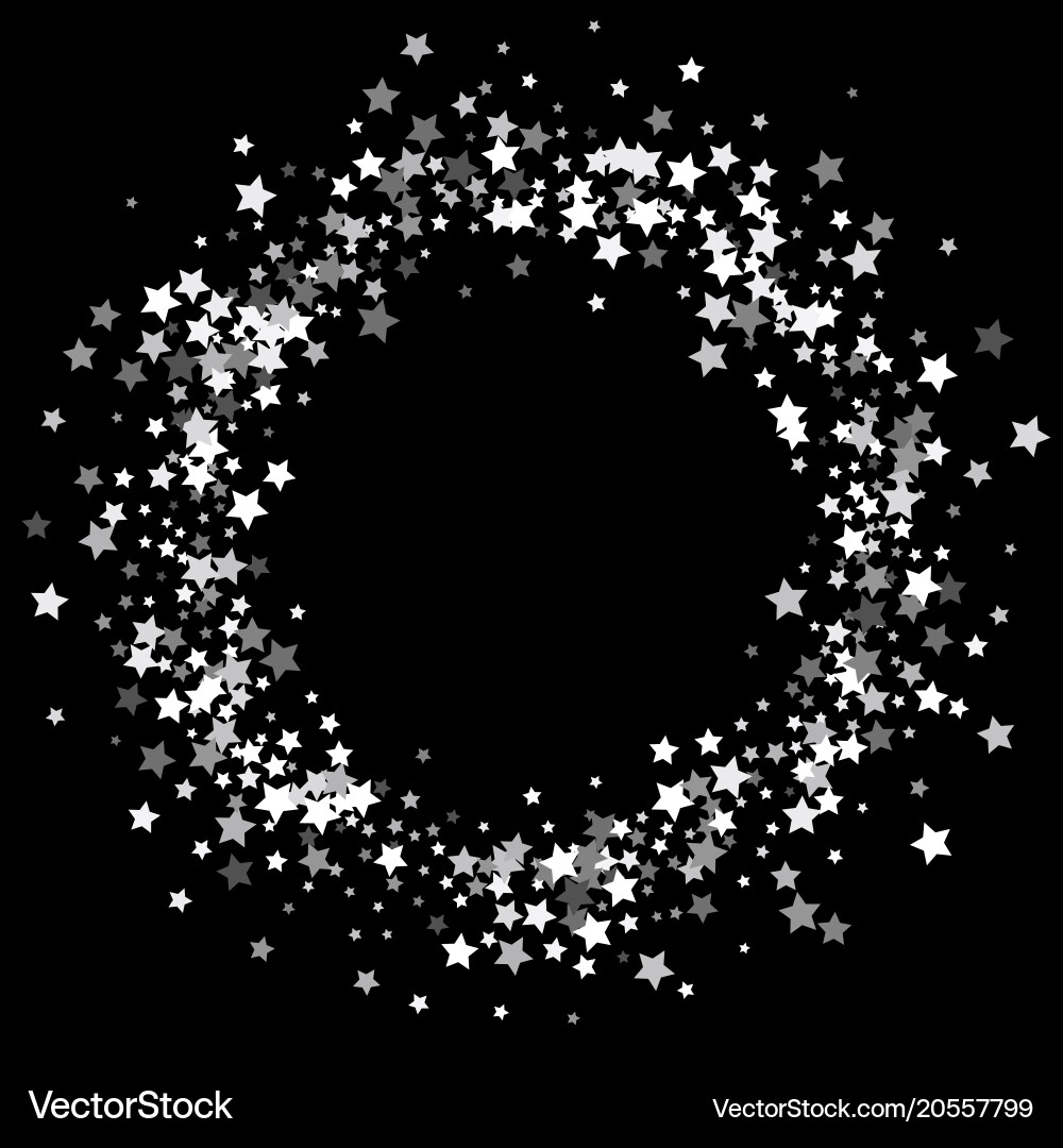 Silver Star Border vector image