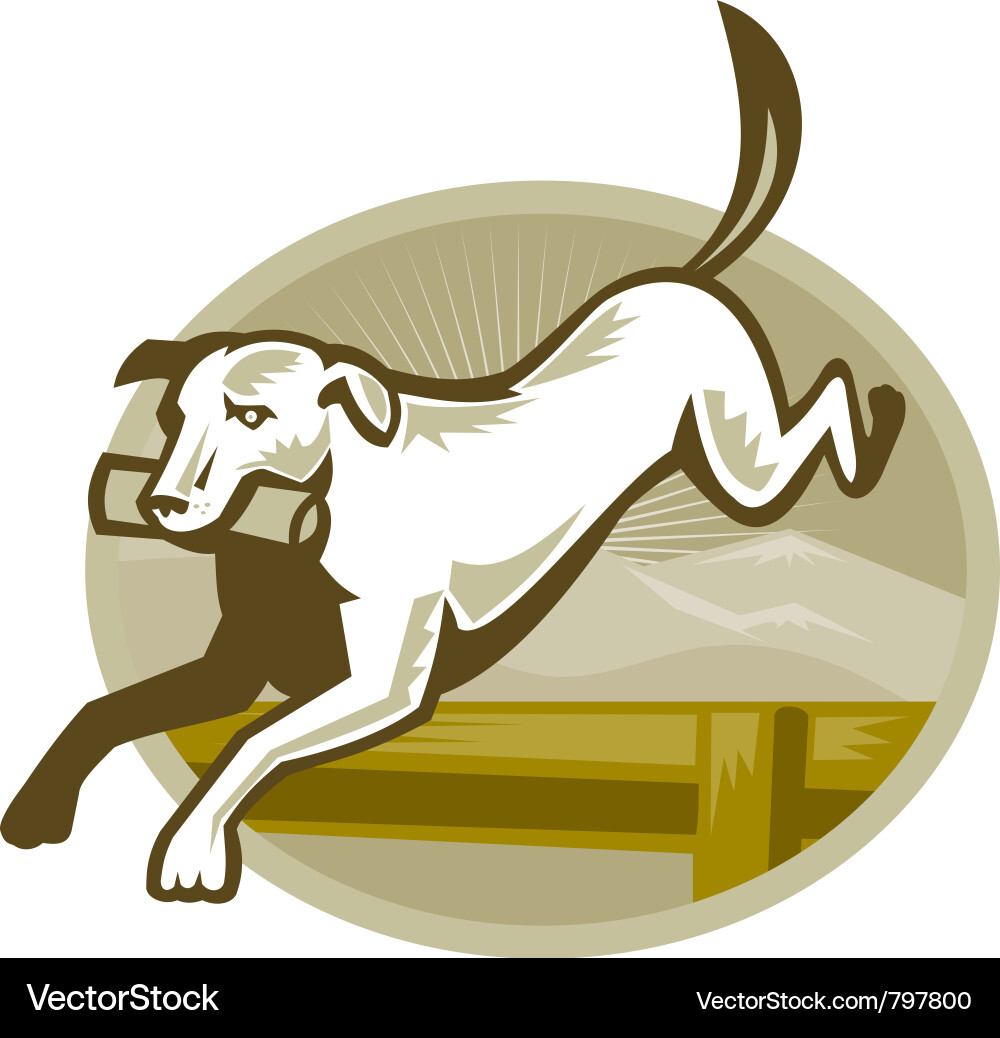 Retriever Dog Jumping Vector Image