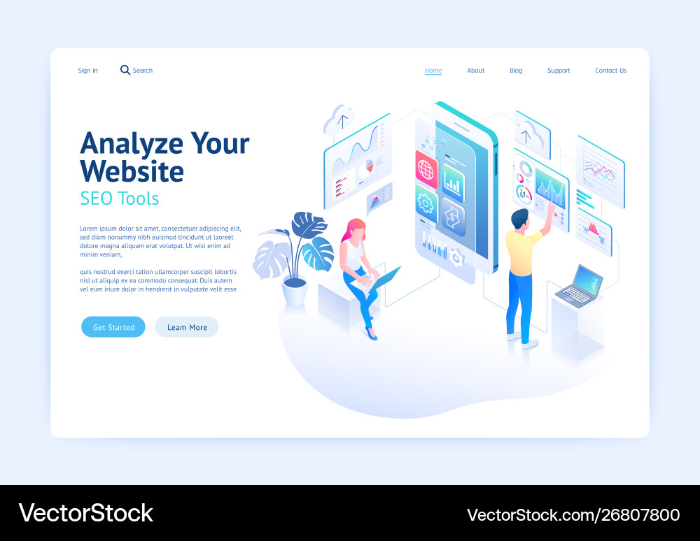 Website Development Analytics vector image