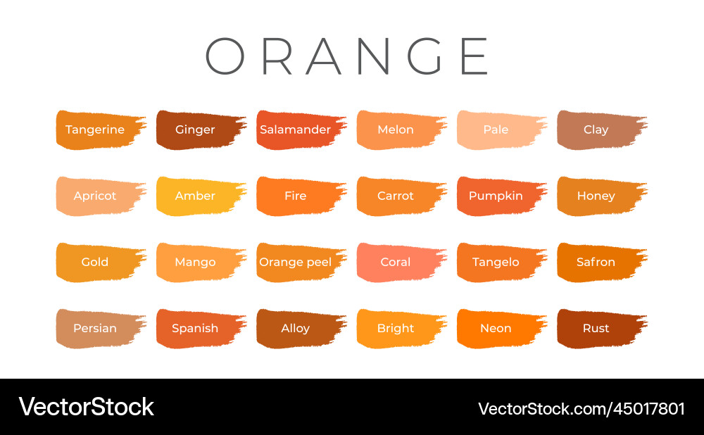 Orange Paint Swatches - Color Palette Royalty Free Vector