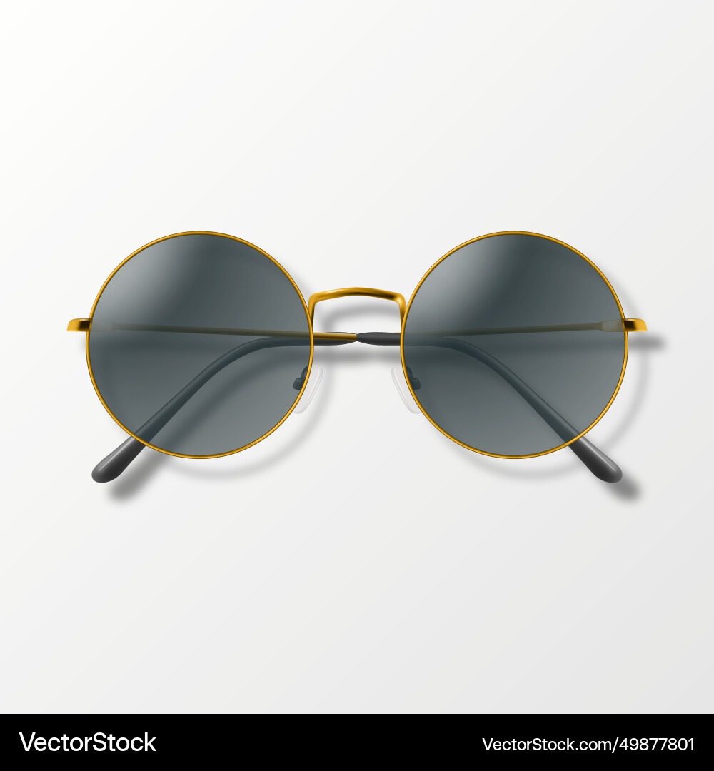 Realistic trendy round frame glasses Realistic trendy round frame glasses vector image
