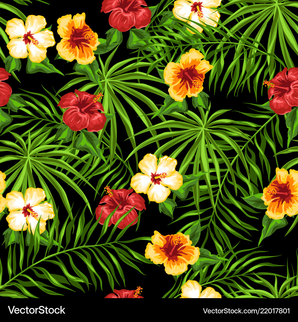 Tropical Hibiscus Pattern Vector Image
