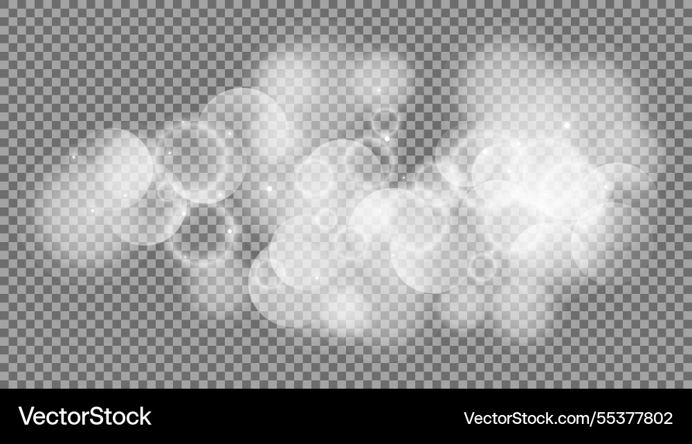 Bokeh circles on transparent background Bokeh circles on transparent background vector image