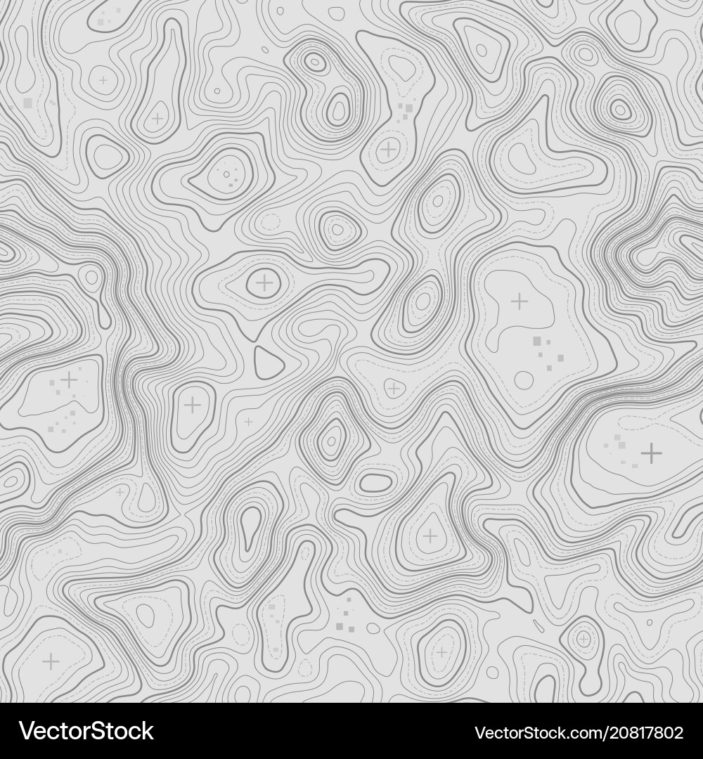 Topographic Map Pattern vector image